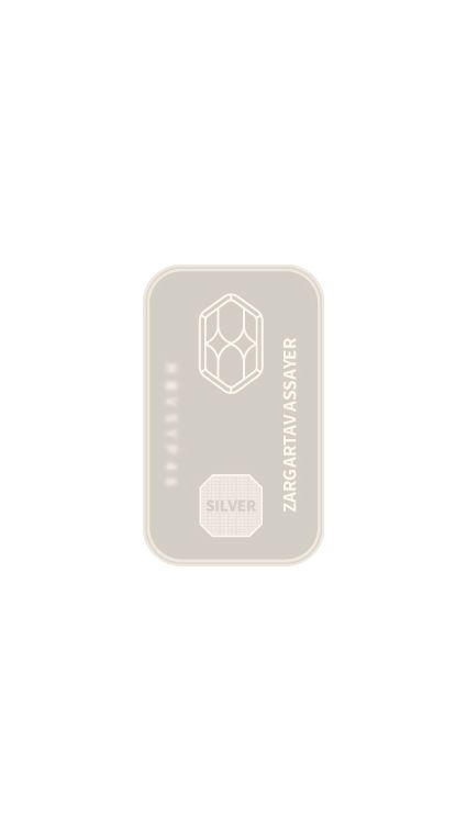 شمش نقره 100 سوت